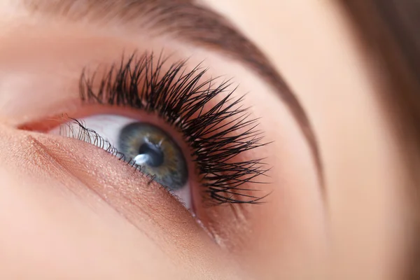 Cils & sourcils